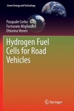 Hydrogen Fuel Cells for Road Vehicles