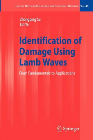 Identification of Damage Using Lamb Waves