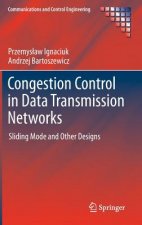 Congestion Control in Data Transmission Networks