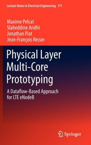Physical Layer Multi-Core Prototyping