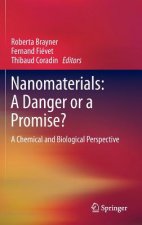 Nanomaterials: A Danger or a Promise?