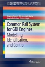 Common Rail System for GDI Engines