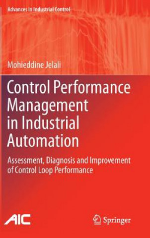 Control Performance Management in Industrial Automation