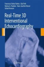 Real Time 3D Interventional Echocardiography