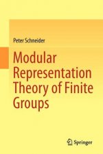 Modular Representation Theory of Finite Groups