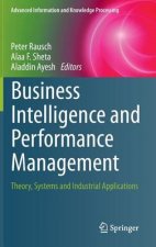 Business Intelligence and Performance Management
