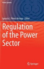 Regulation of the Power Sector