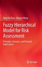 Fuzzy Hierarchical Model for Risk Assessment