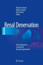 Renal Denervation