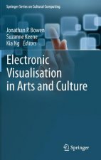 Electronic Visualisation in Arts and Culture