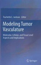 Modeling Tumor Vasculature