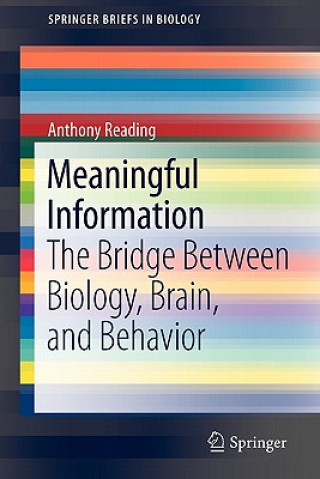 Meaningful Information