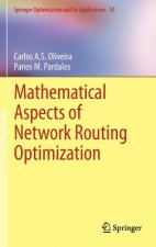 Mathematical Aspects of Network Routing Optimization