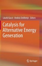 Catalysis for Alternative Energy Generation