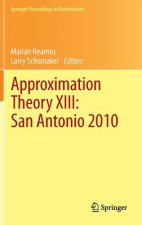 Approximation Theory XIII: San Antonio 2010
