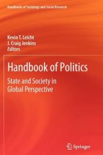 Handbook of Politics