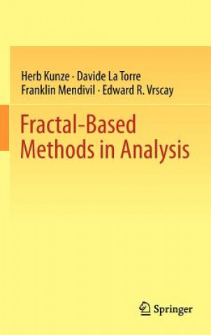 Fractal-Based Methods in Analysis