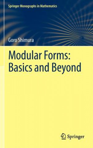 Modular Forms: Basics and Beyond
