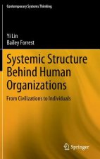 Systemic Structure Behind Human Organizations