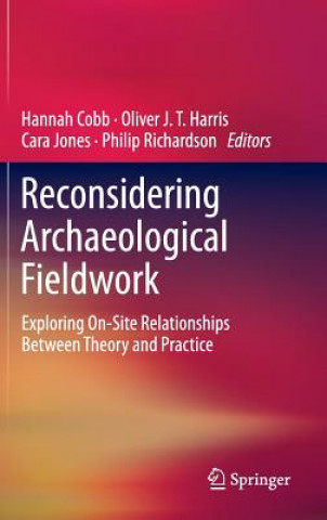 Reconsidering Archaeological Fieldwork