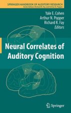 Neural Correlates of Auditory Cognition