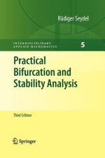 Practical Bifurcation and Stability Analysis