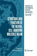 Structure and Function of the Neural Cell Adhesion Molecule NCAM