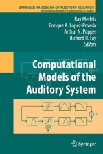 Computational Models of the Auditory System