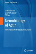 Neurobiology of Actin