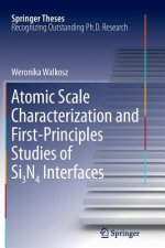 Atomic Scale Characterization and First-Principles Studies of Si3N4 Interfaces