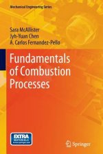 Fundamentals of Combustion Processes