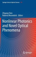 Nonlinear Photonics and Novel Optical Phenomena