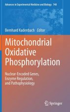 Mitochondrial Oxidative Phosphorylation
