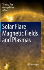 Solar Flare Magnetic Fields and Plasmas