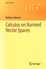 Calculus on Normed Vector Spaces