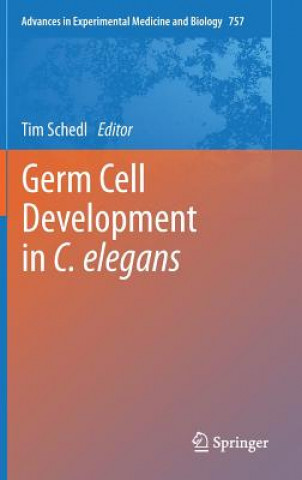 Germ Cell Development in C. elegans