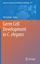 Germ Cell Development in C. elegans