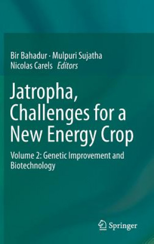 Jatropha, Challenges for a New Energy Crop