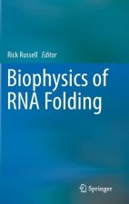 Biophysics of RNA Folding
