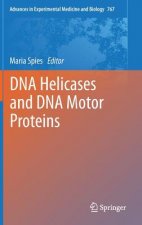 DNA Helicases and DNA Motor Proteins