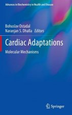 Cardiac Adaptations