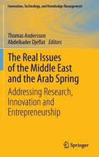 Real Issues of the Middle East and the Arab Spring