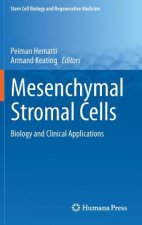 Mesenchymal Stromal Cells