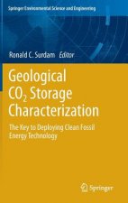 Geological CO2 Storage Characterization