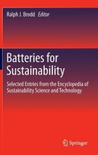 Batteries for Sustainability