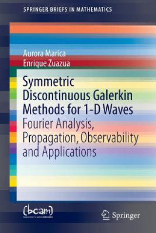Symmetric Discontinuous Galerkin Approximations of 1-D Waves