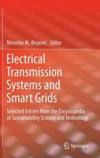 Electrical Transmission Systems and Smart Grids