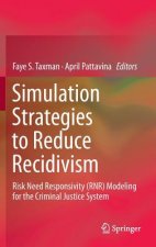 Simulation Strategies to Reduce Recidivism