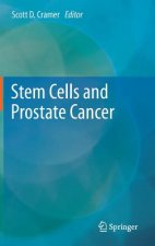 Stem Cells and Prostate Cancer