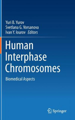 Human Interphase Chromosomes